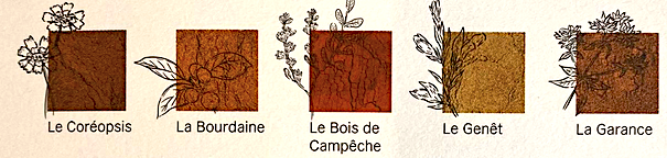 plantes tinctoriales